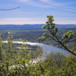 Moselle vue de haut