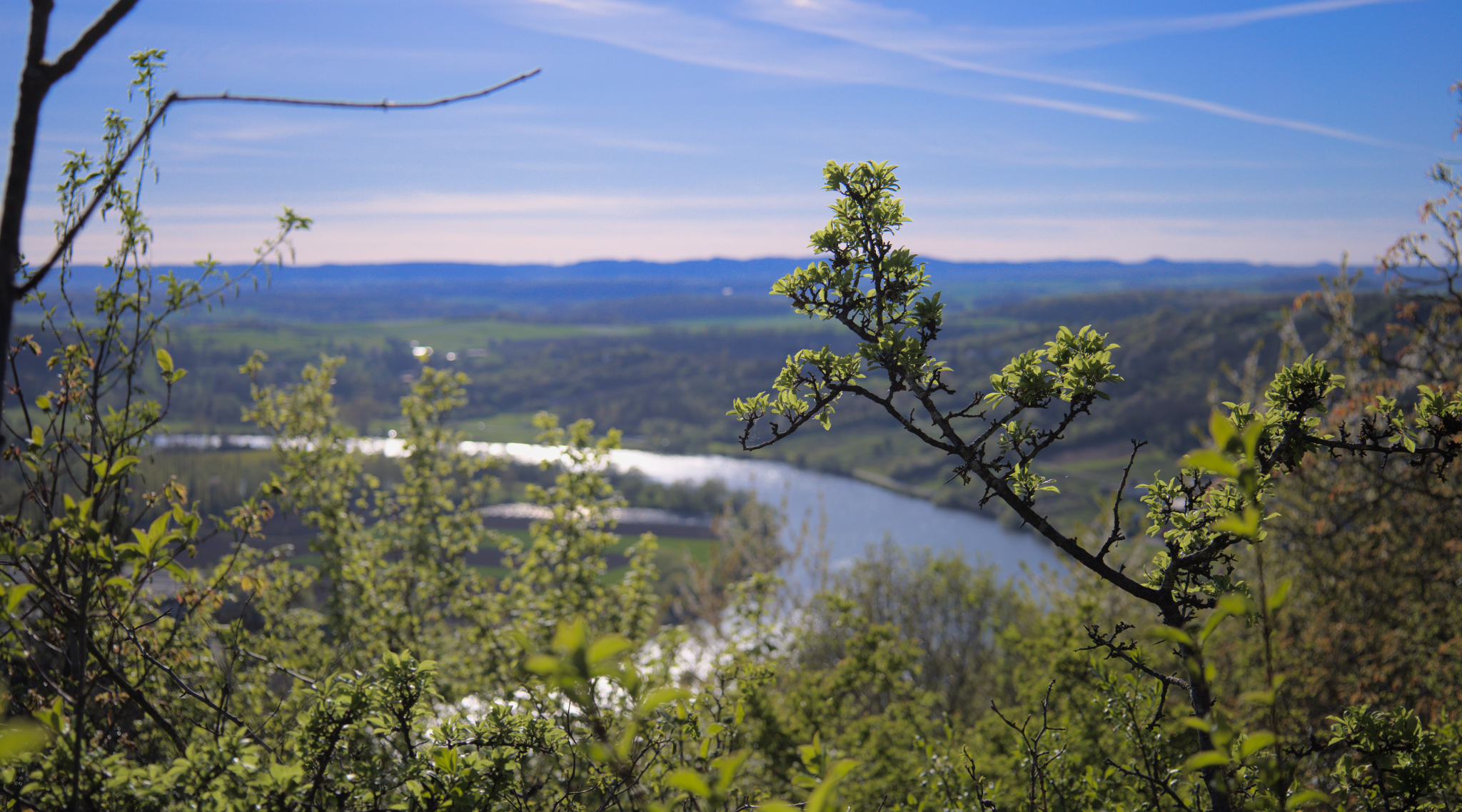 Moselle vue de haut