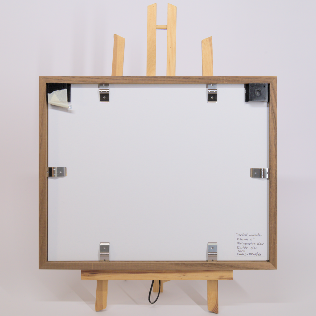 Vanessa Thieffry, "Belval, méditation urbaine 1", image produit dos