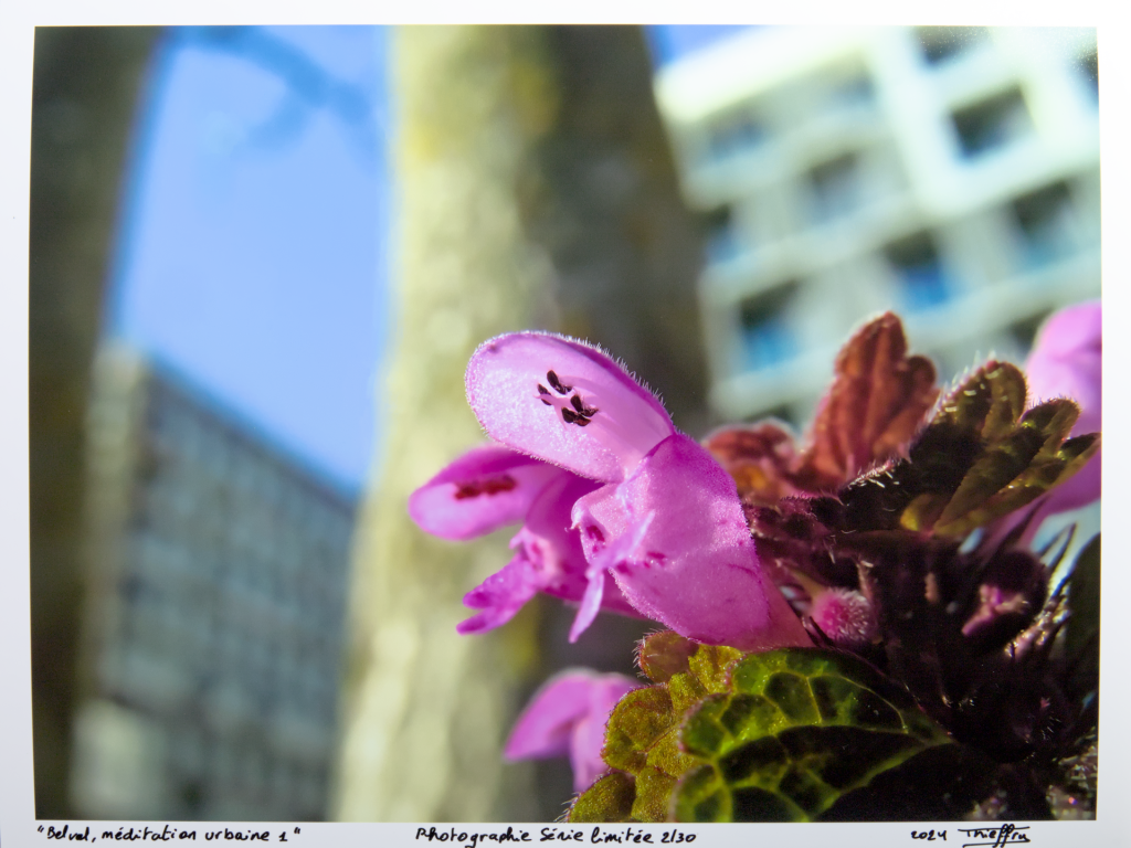 Vanessa Thieffry, "Belval, méditation urbaine 1", image produit sans cadre croppe