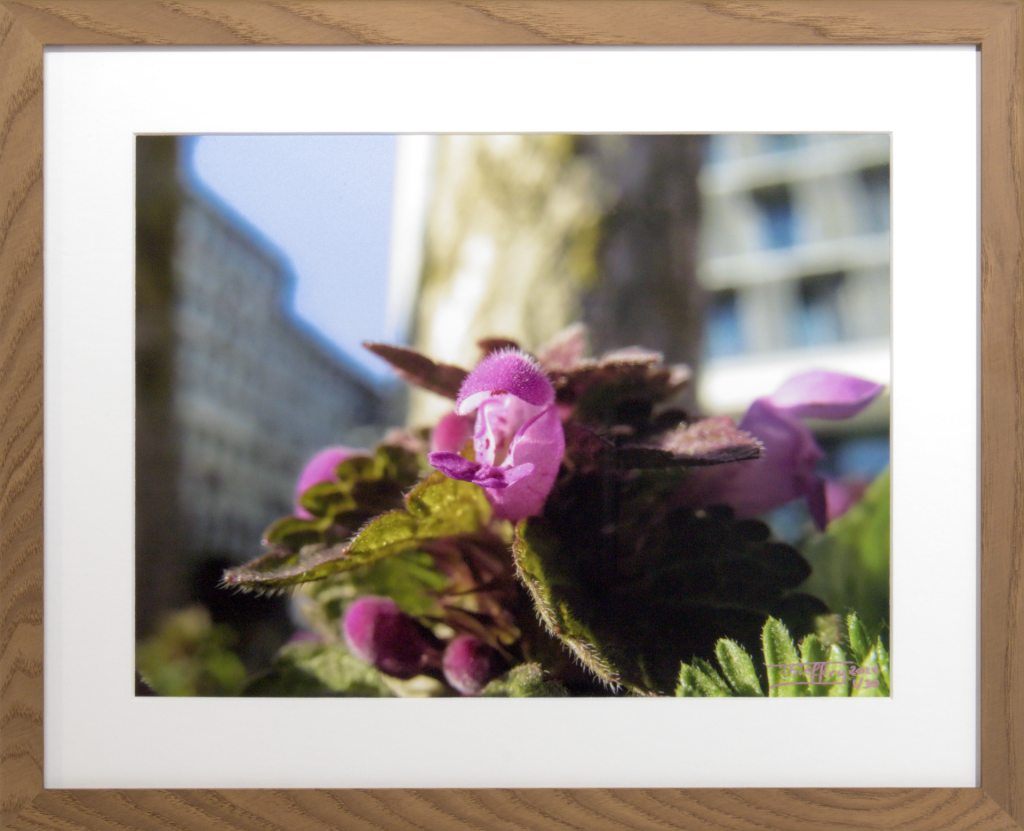Vanessa Thieffry, "Belval, méditation urbaine 2", image produit fond blanc