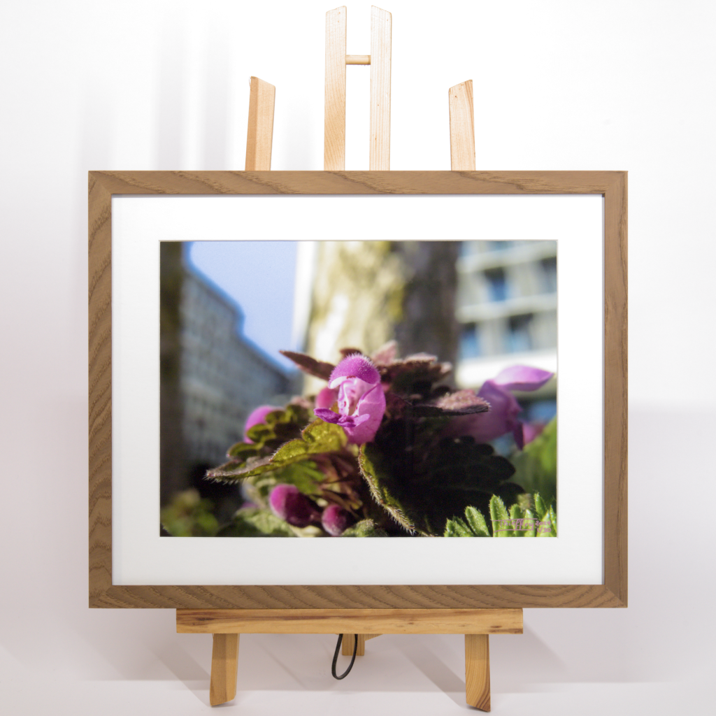 Vanessa Thieffry, "Belval, méditation urbaine 2", image produit