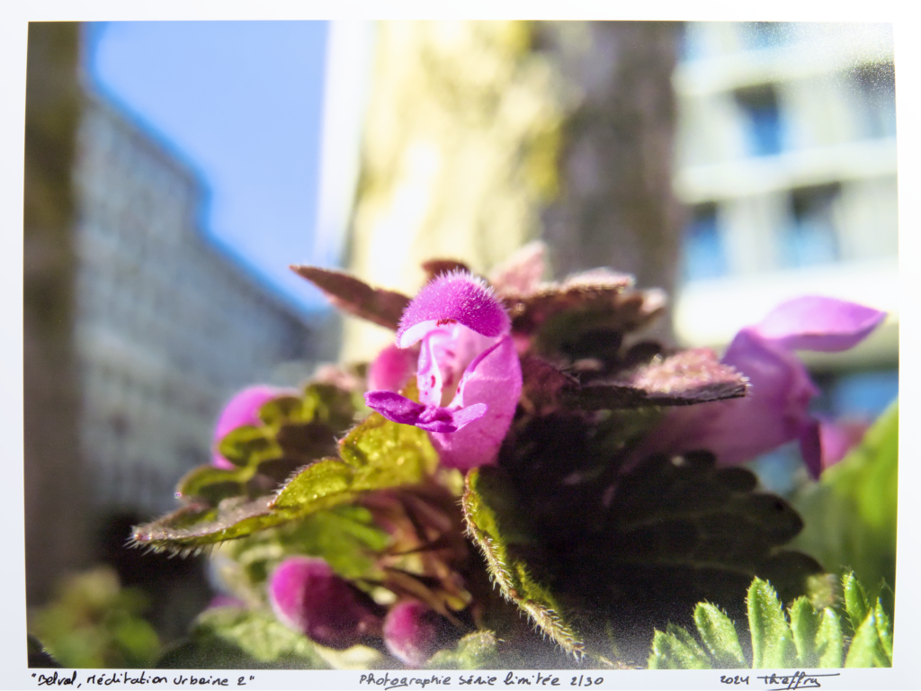 Vanessa Thieffry, "Belval, méditation urbaine 2", image produit sans cadre croppe