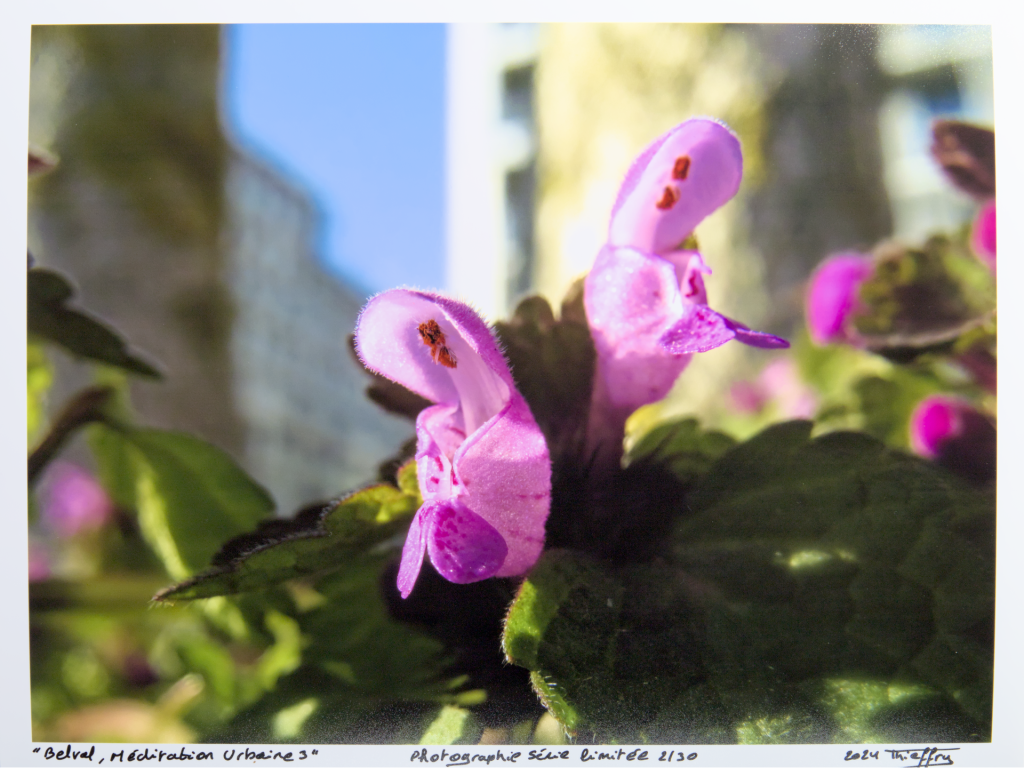 Vanessa Thieffry, "Belval, méditation urbaine 3", image produit sans cadre croppe